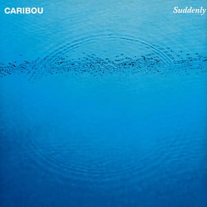 Caribou Suddenly